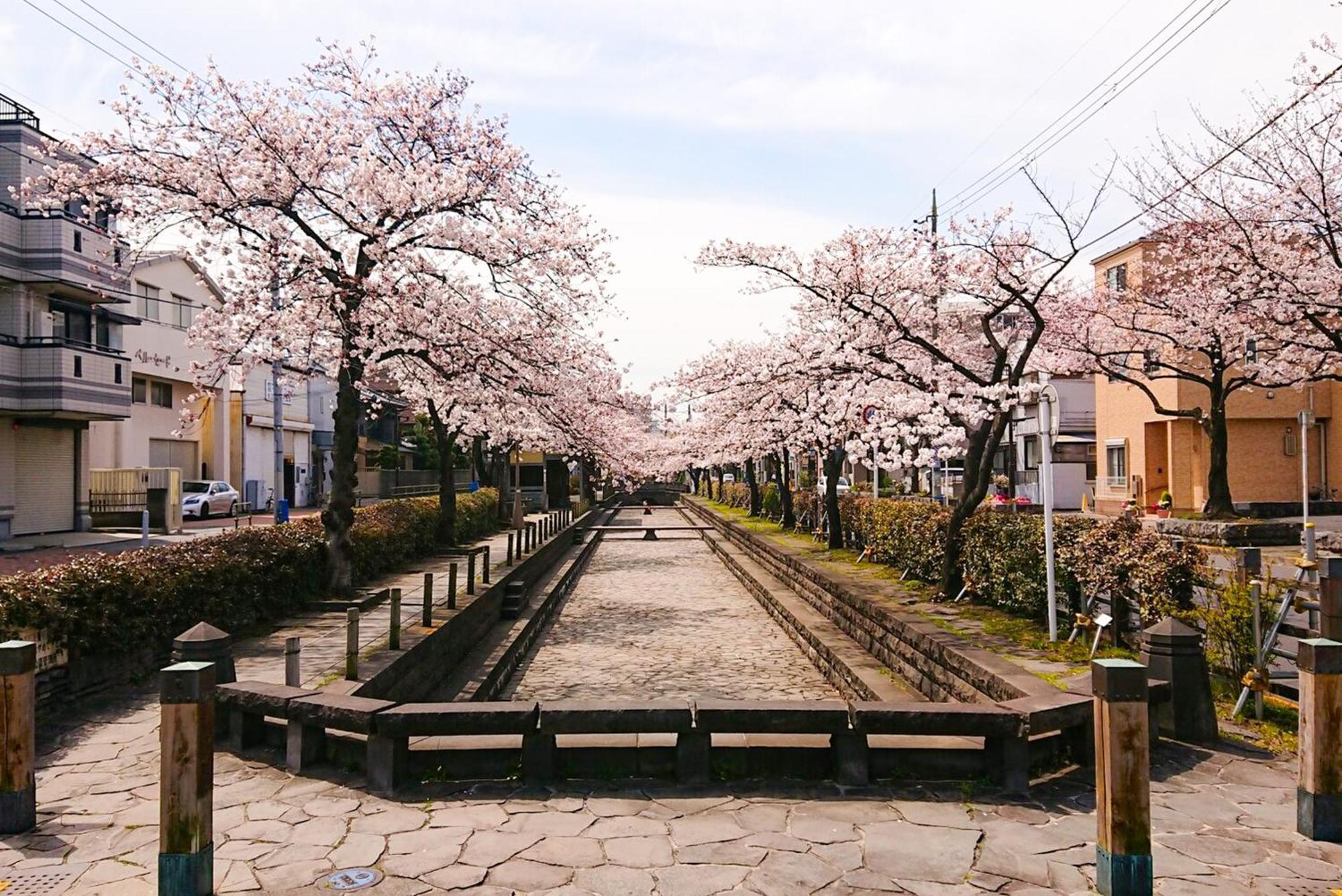 Sc Heights 103 Daire Tokyo Dış mekan fotoğraf
