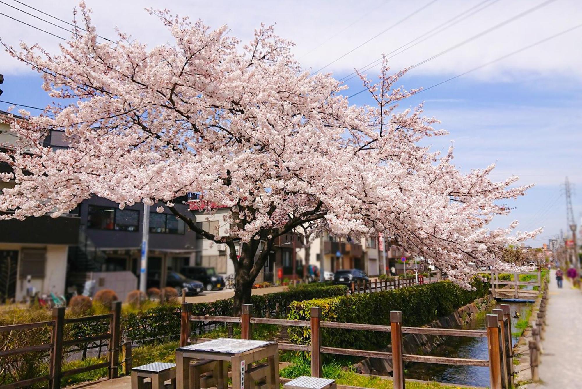 Sc Heights 103 Daire Tokyo Dış mekan fotoğraf